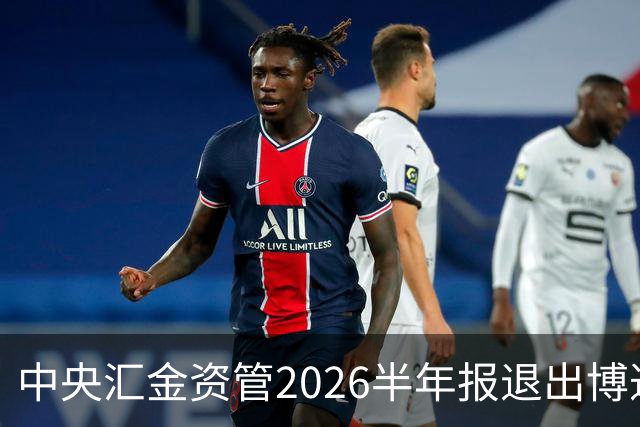 中央汇金资管2026半年报退出博迁新材前十大股东名单